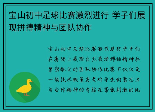 宝山初中足球比赛激烈进行 学子们展现拼搏精神与团队协作