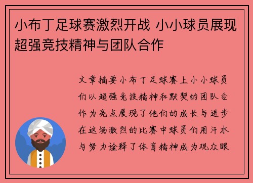 小布丁足球赛激烈开战 小小球员展现超强竞技精神与团队合作