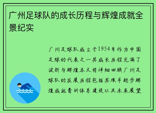 广州足球队的成长历程与辉煌成就全景纪实
